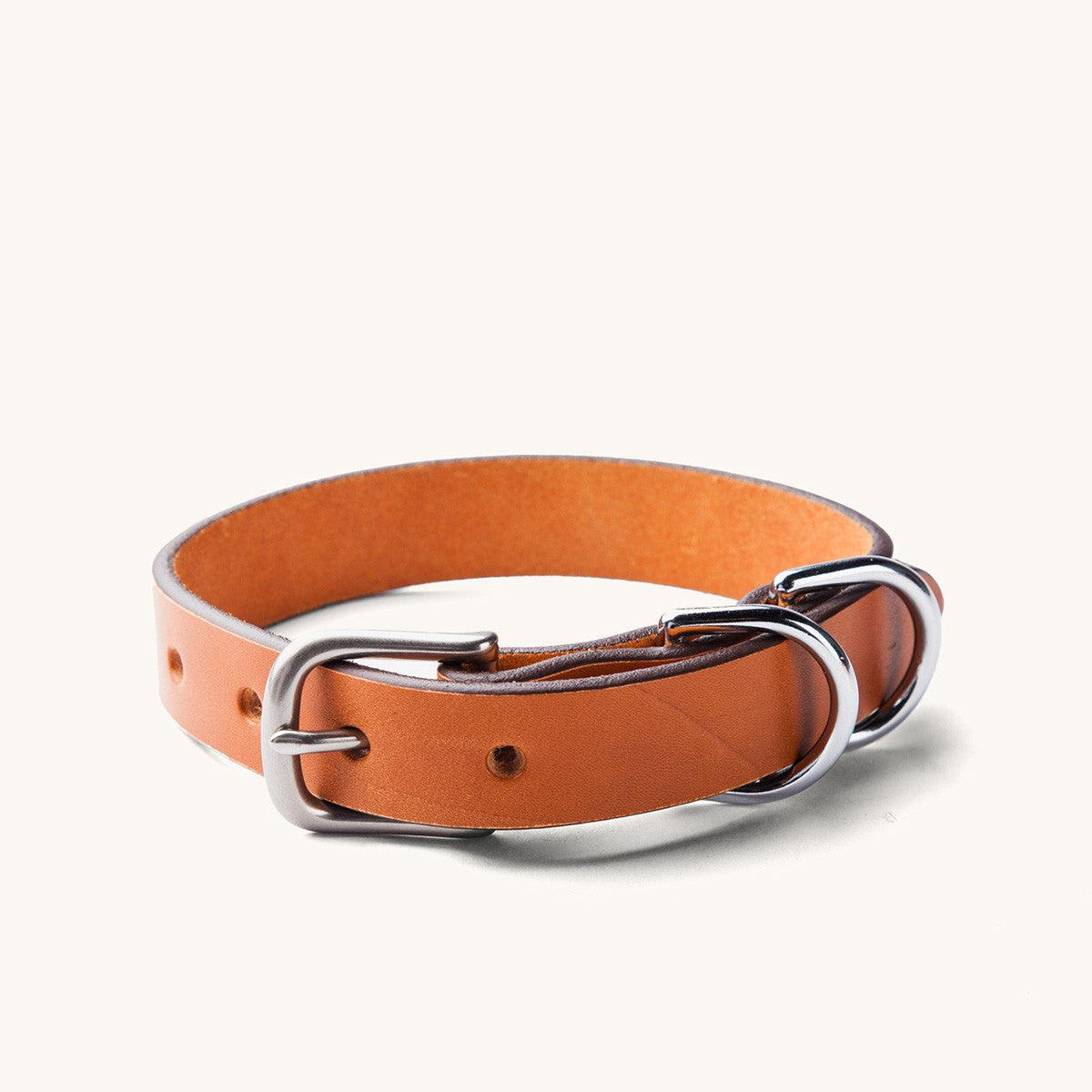 Classic Canine Collar - Saddle Tan