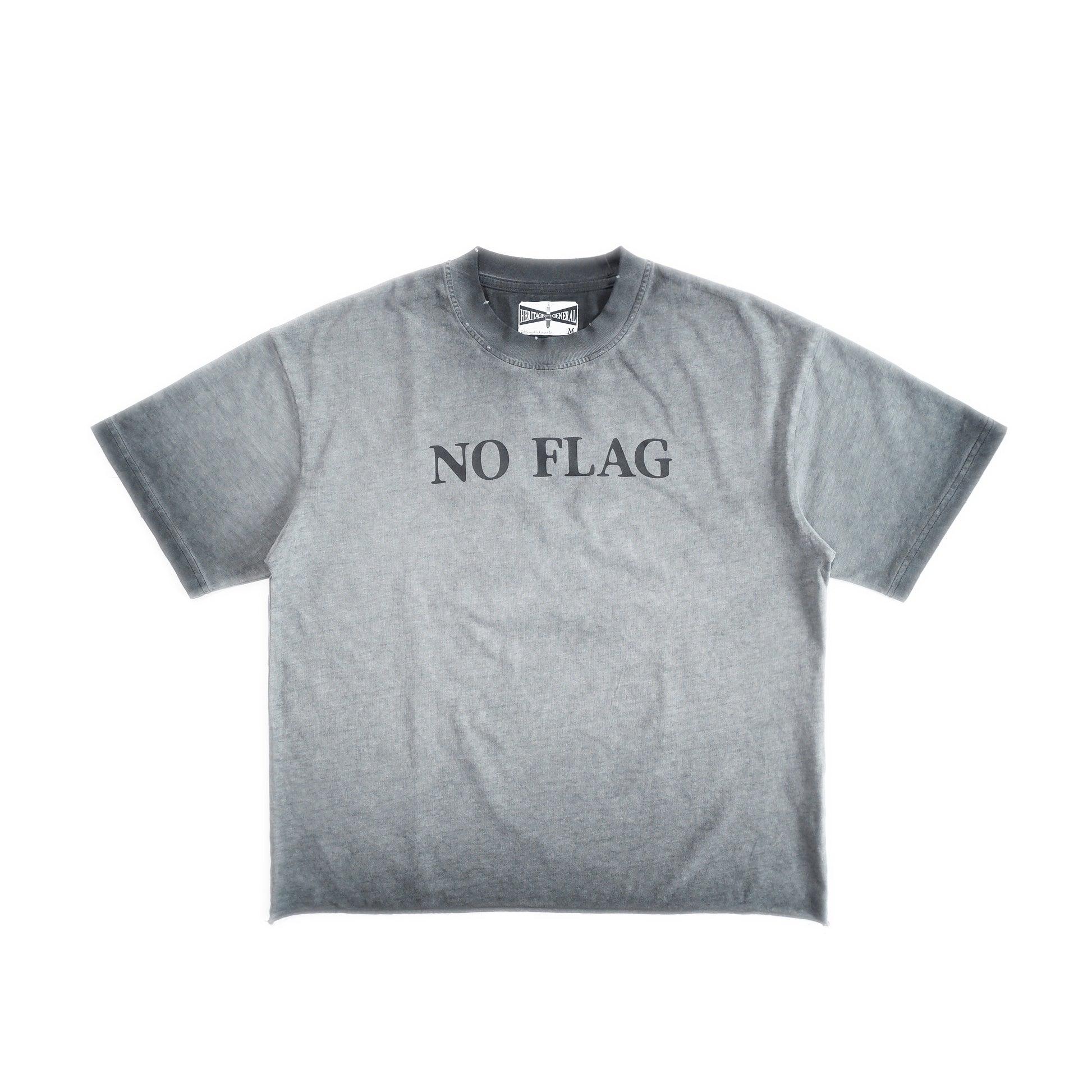 HGS No Flag Vintage Boxy T-Shirt Washed Grey