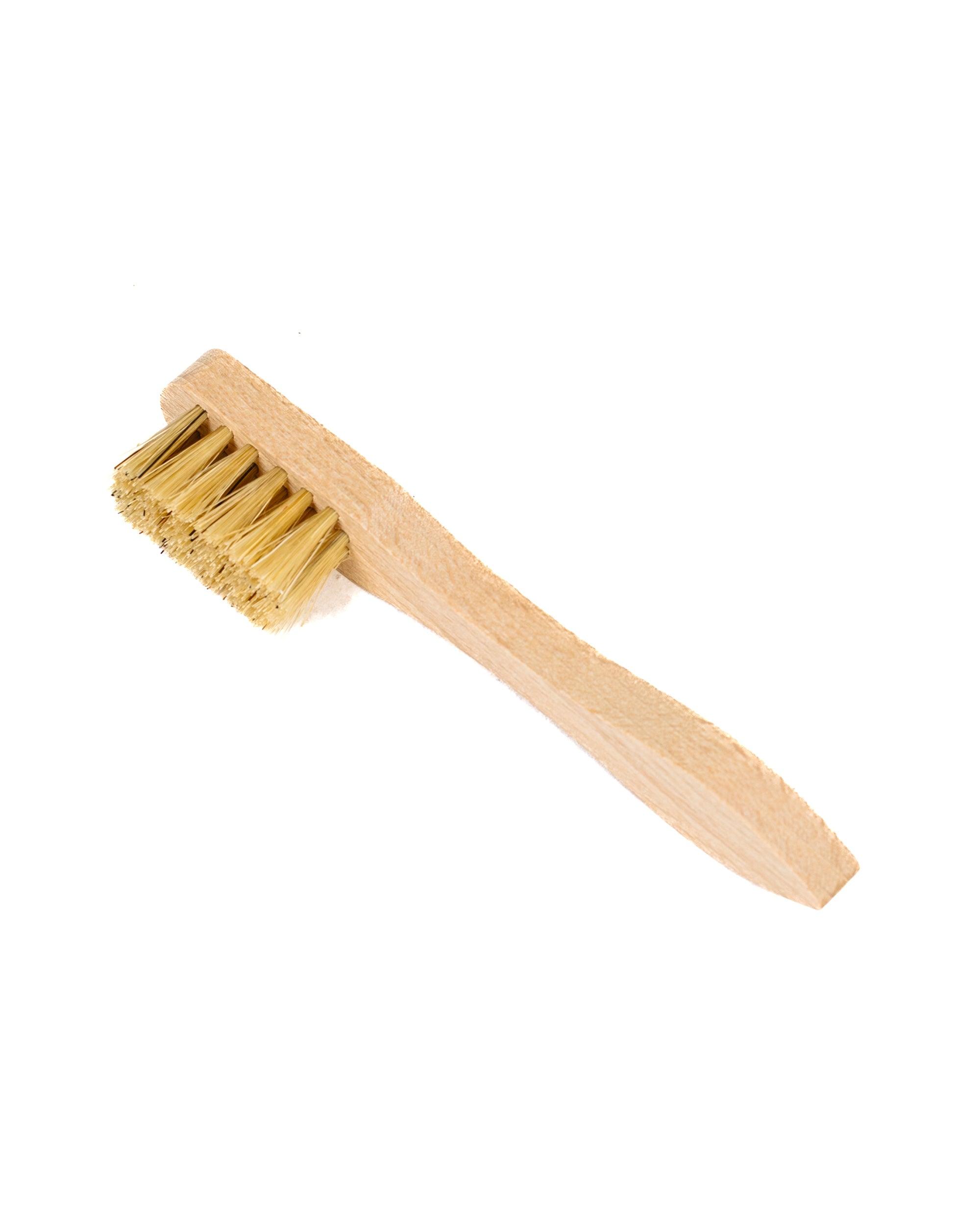 Small Polish Dauber
