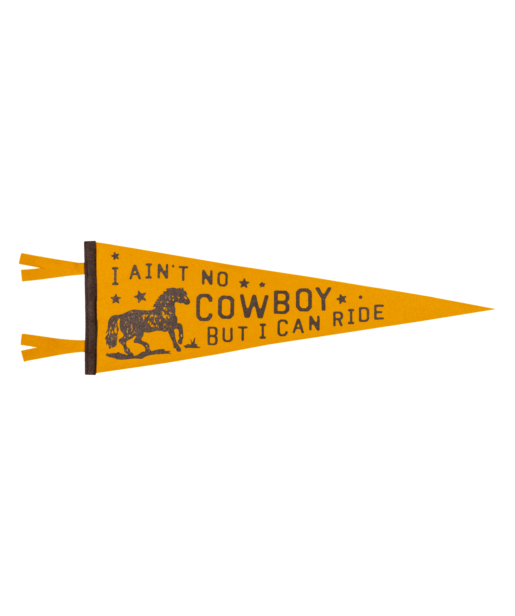 I Ain't No Cowboy But I Can Ride Pennant • Jason Isbell x Oxford Pennant