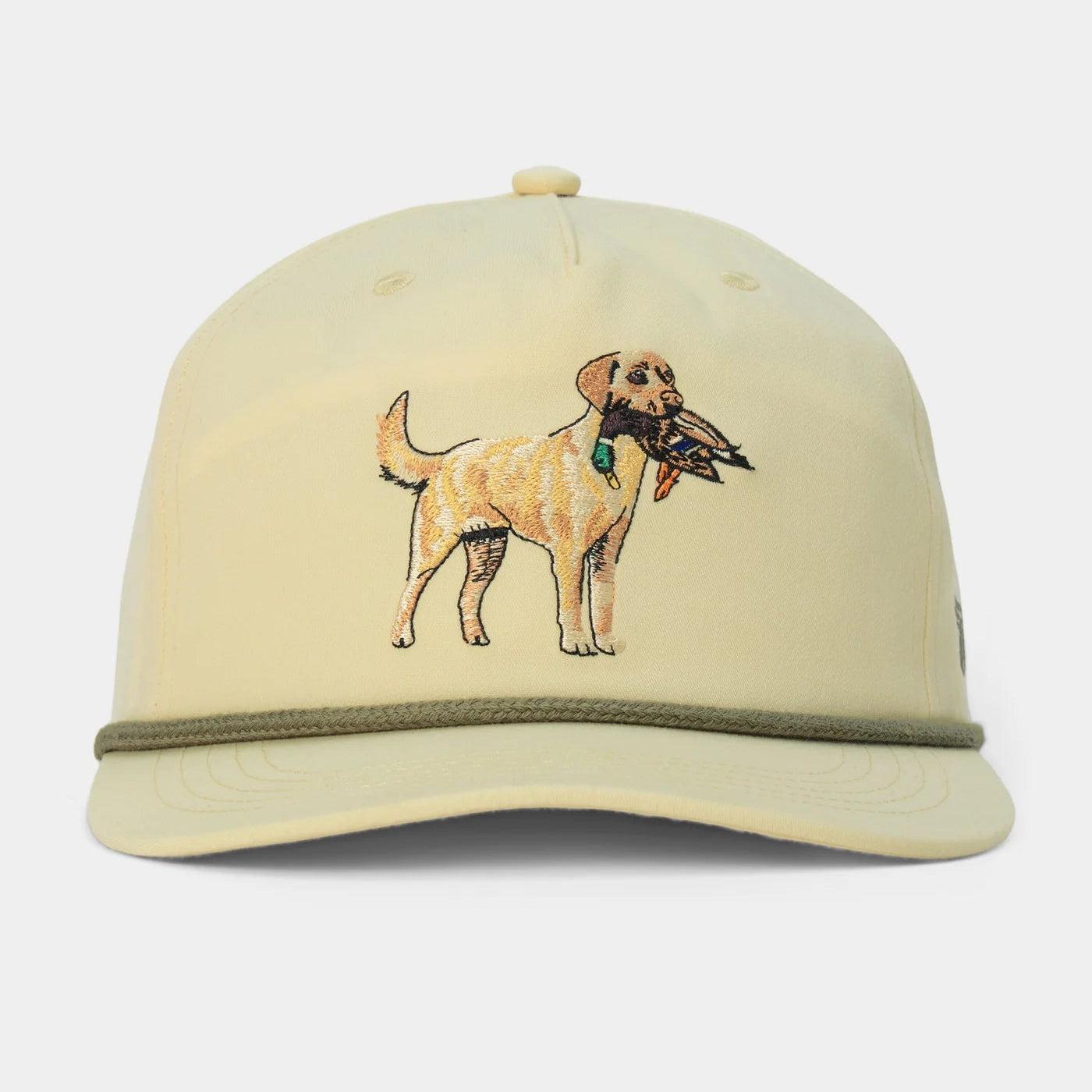Yellow Lab Hat | Ivory | Duck Camp