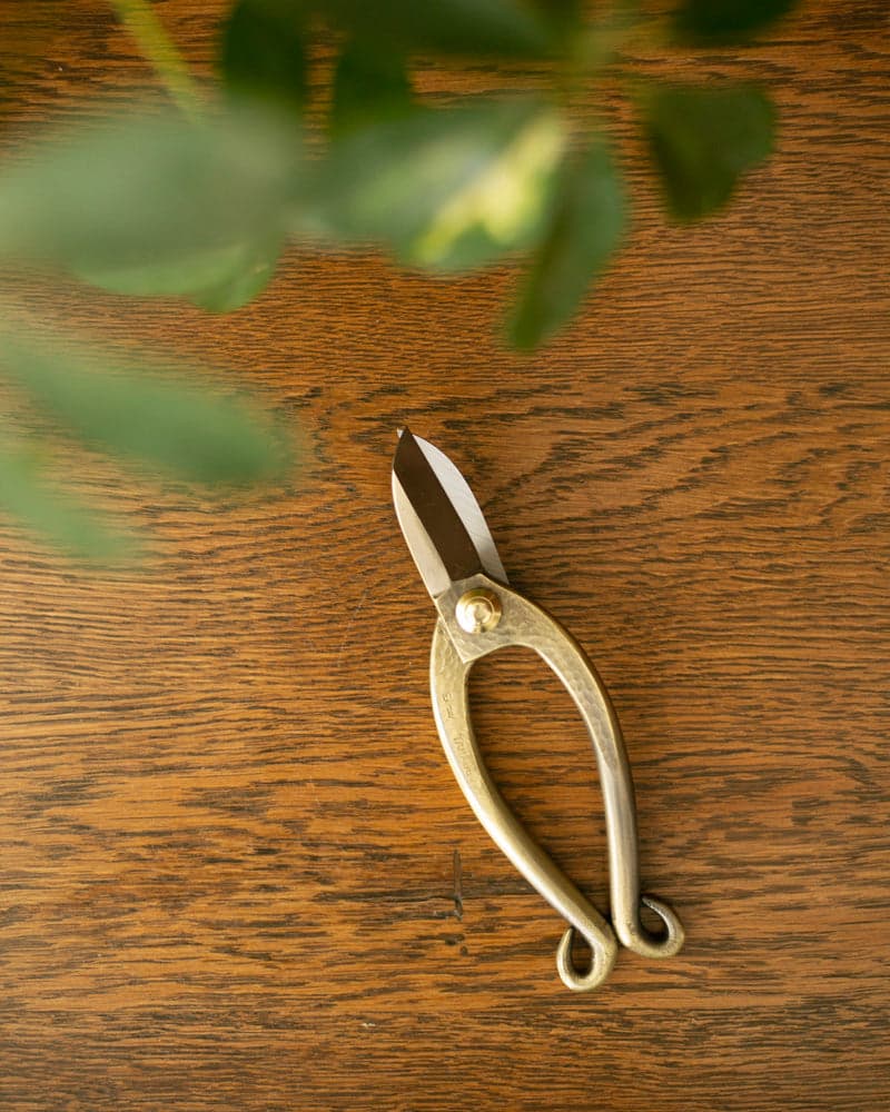 Hasami, Traditional Ikenobou Flower Scissors, Bronze