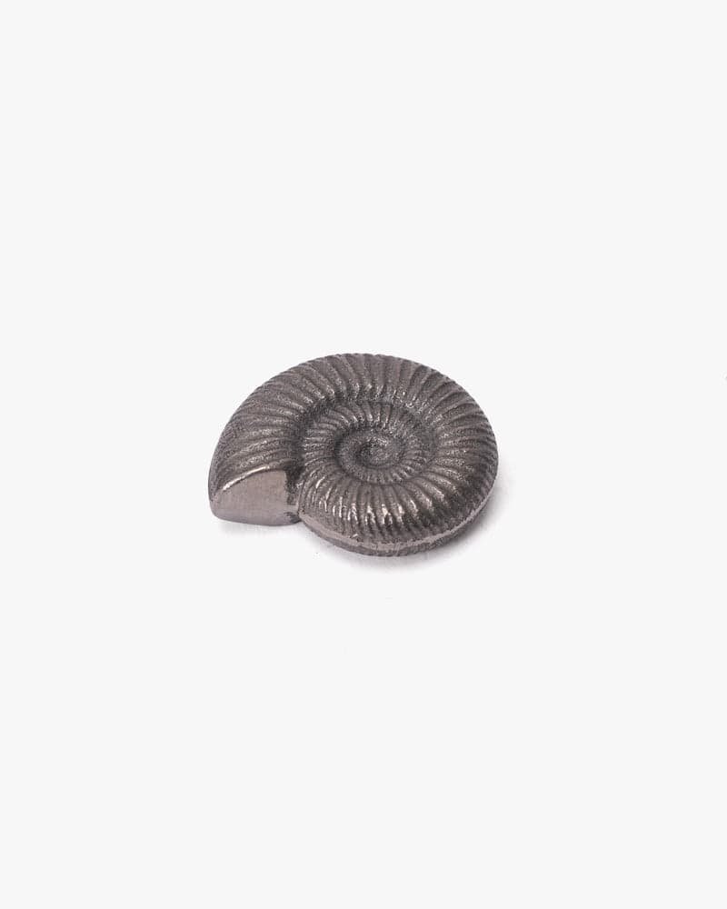 Paperweight, Oitomi, Ammonite