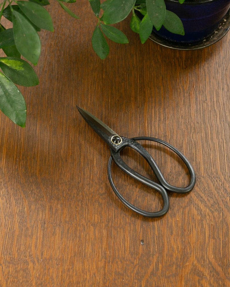 Hasami, Japanese Gardening Scissors, Black Long Blade