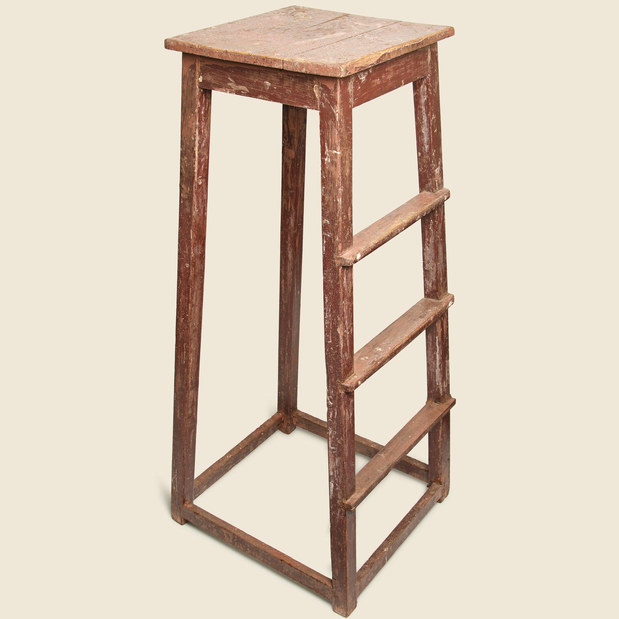 Tall Indian Painters Ladder