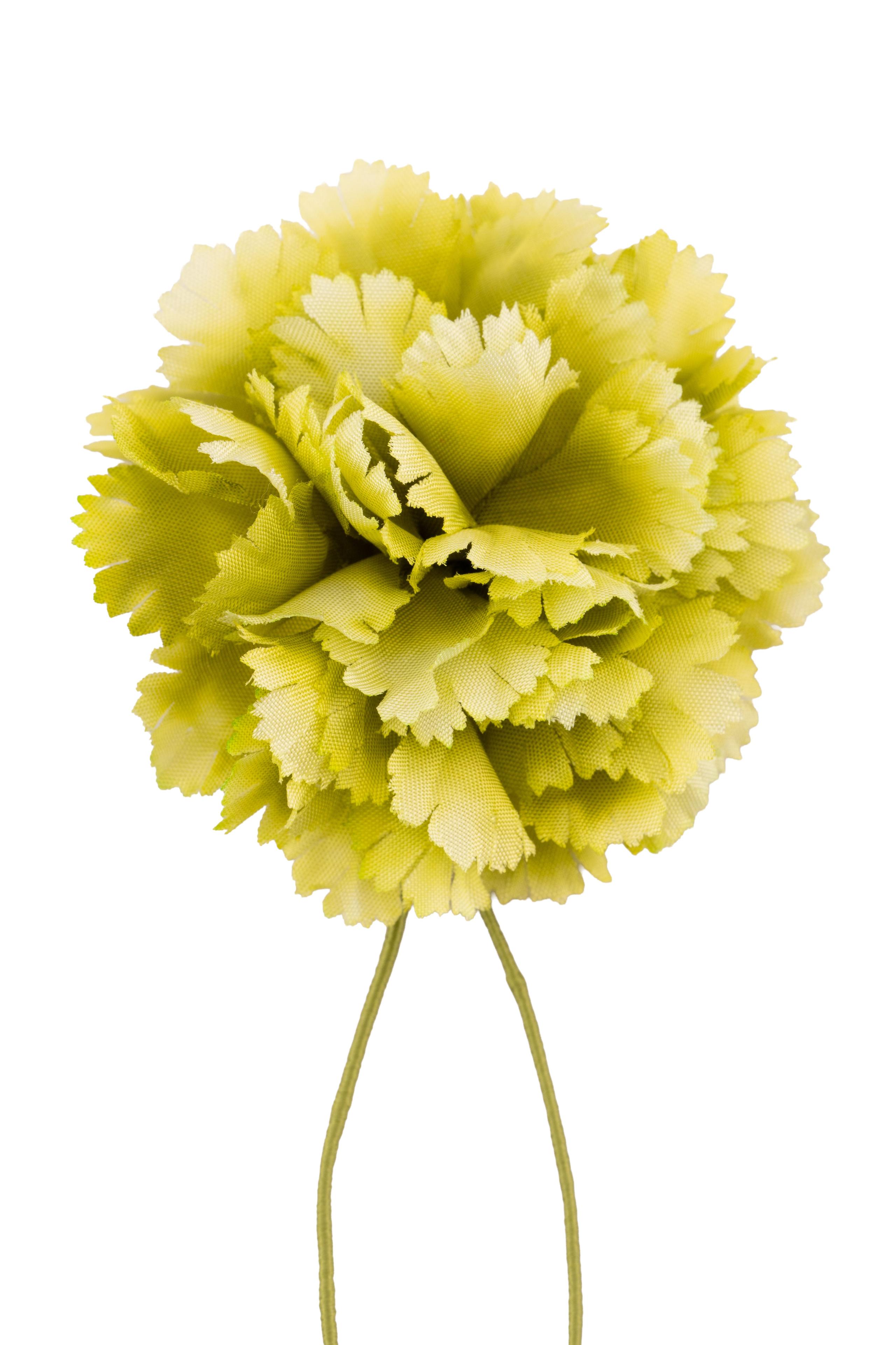 Oscar Wilde Pale Green Carnation Boutonnière Flower