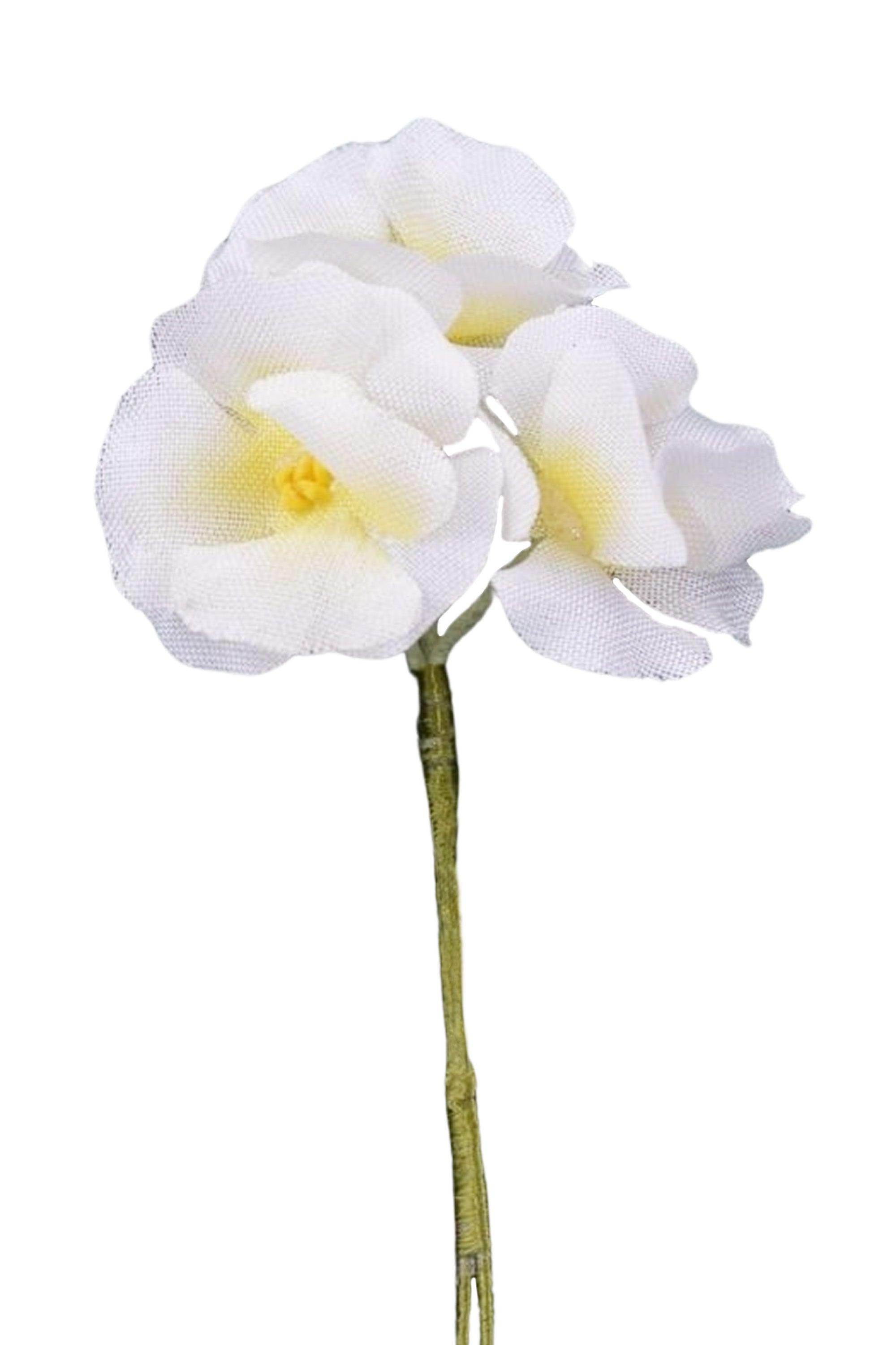 White Phlox Boutonnière Flower