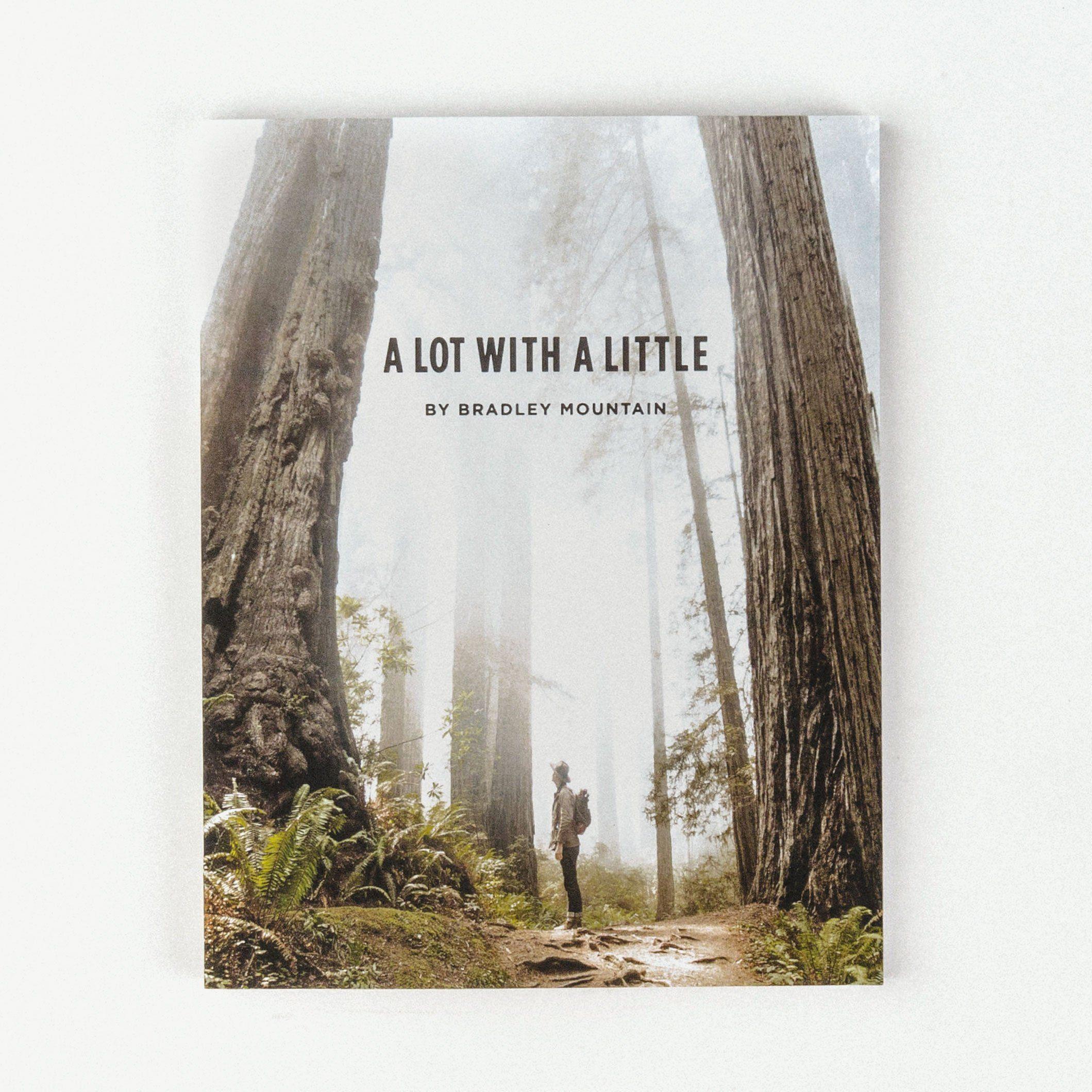 A Lot With A Little - eBook