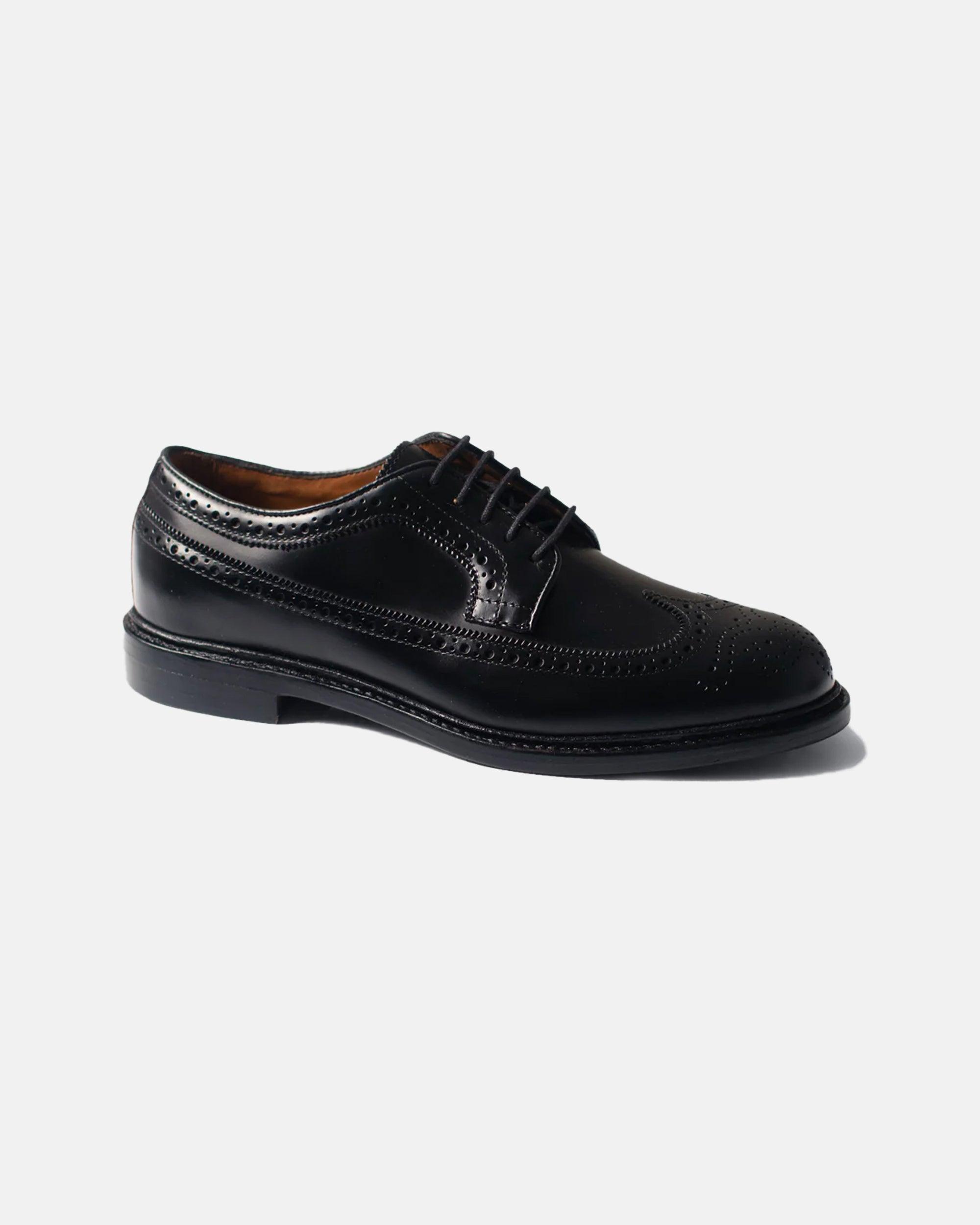 Black Longwing Blucher