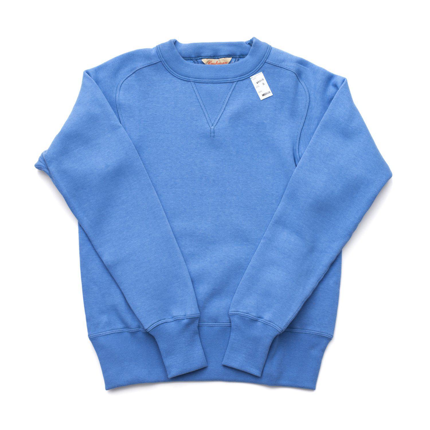 Lot. 26903 Freedom Sleeve Sweatshirt Sax