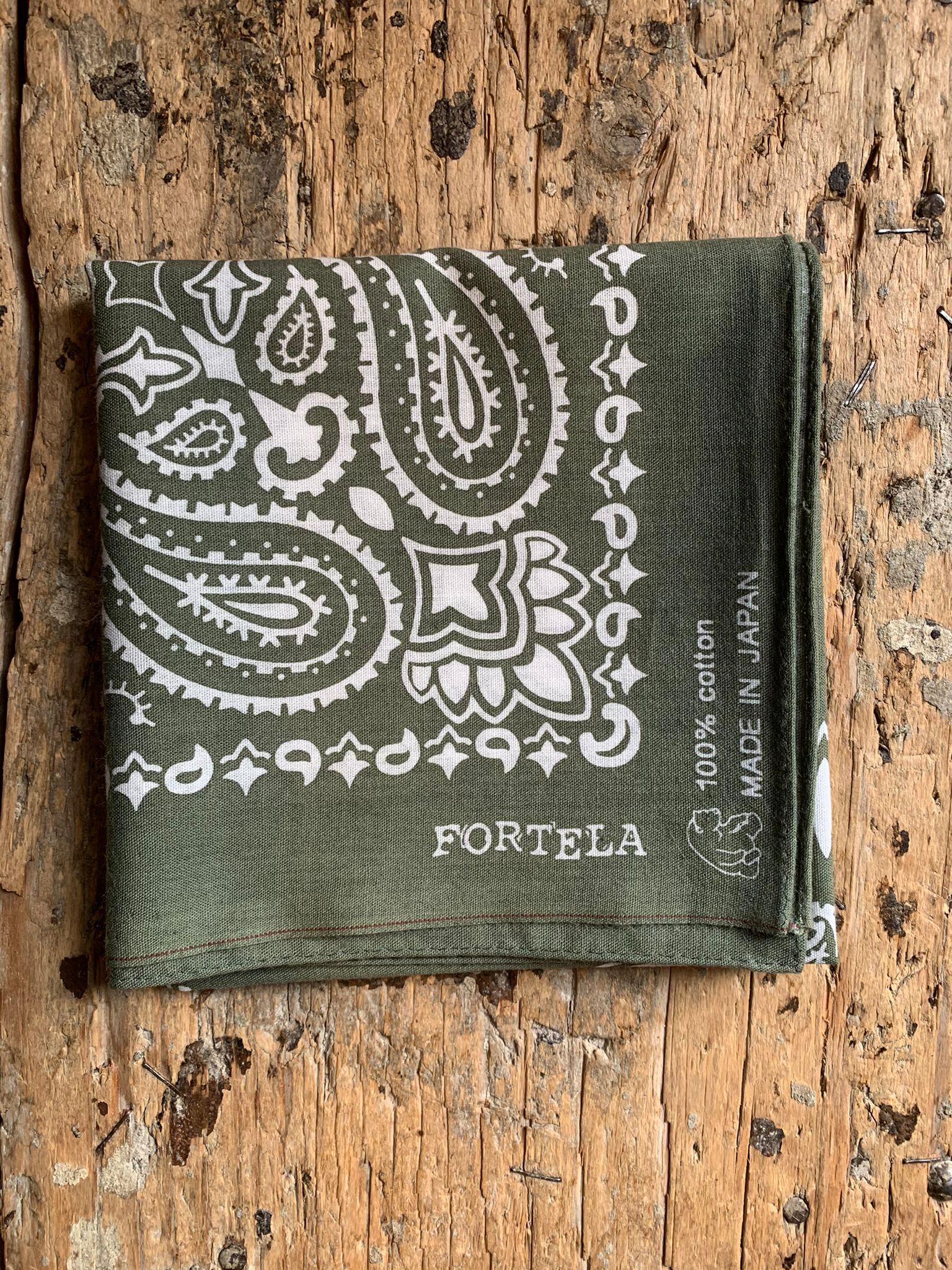 BANDANA PAISLEY GRE / 義大利製領巾
