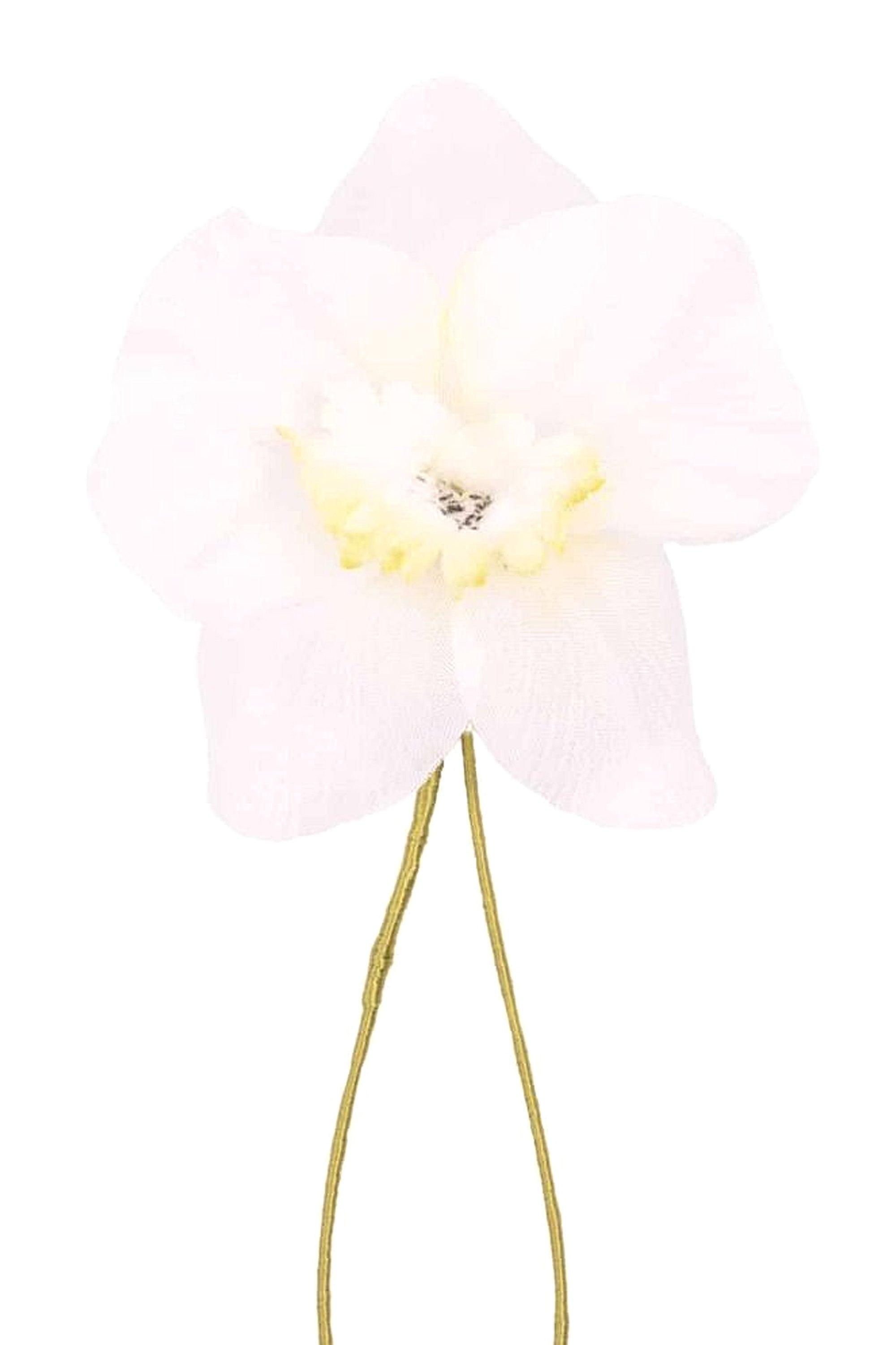 Champagne Orchid Boutonnière Flower